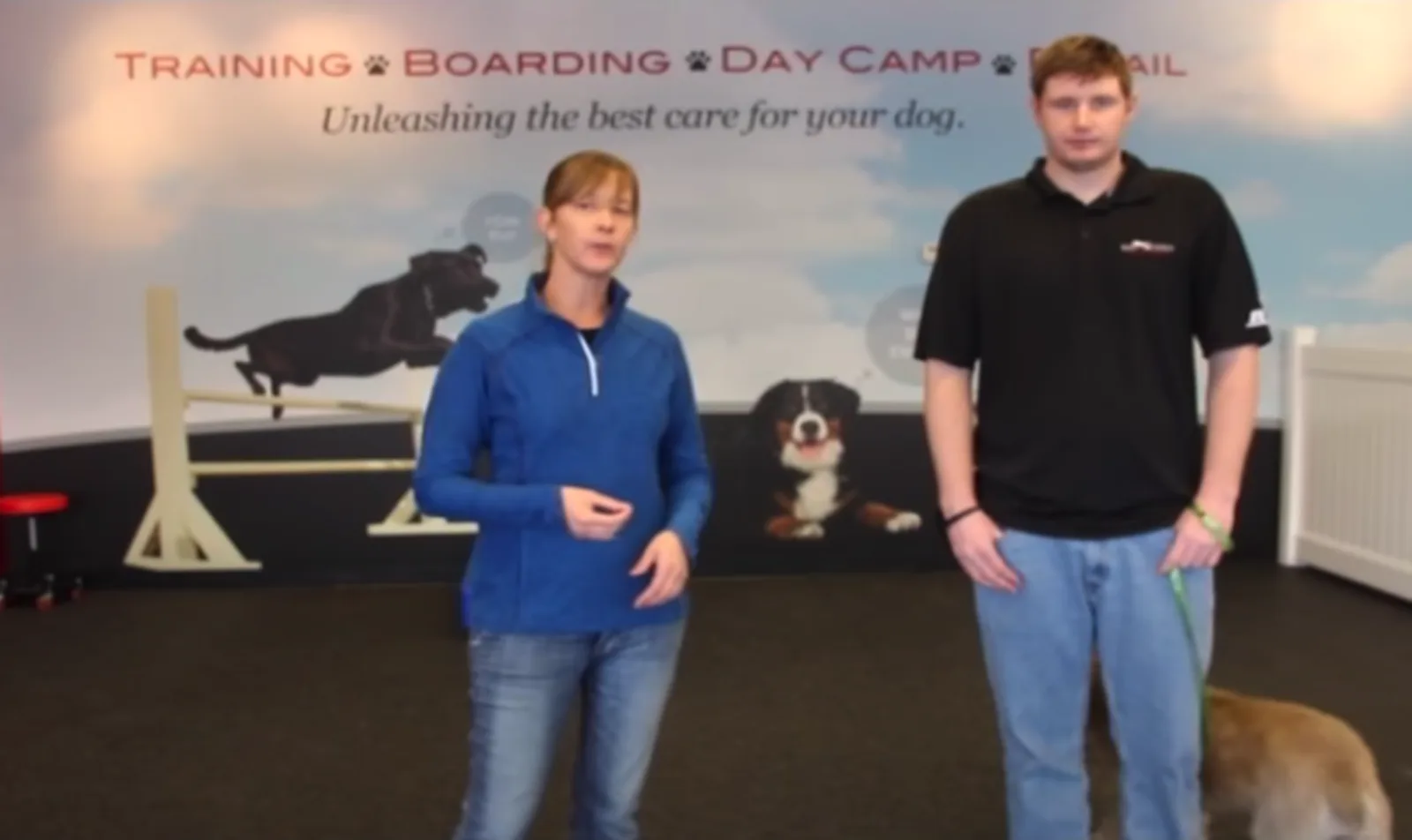 Blonde woman in blue shirt and man in black polo shirt in a dog training facility.